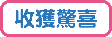 更多定額